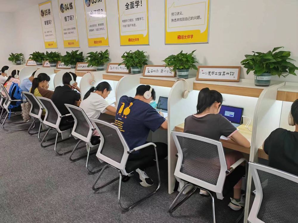 伴学督学中
